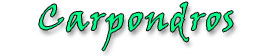 Carpondros