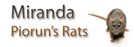 mirandasRats