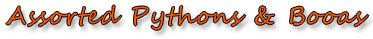 pythBoas
