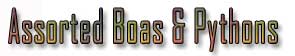 assorted boas