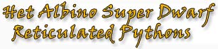 title super dwarf retics