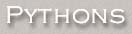 PythonTitle